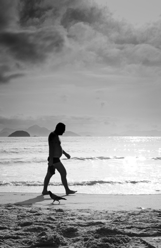 Homo Sapiens Beach