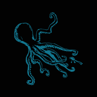 Mollusca IV