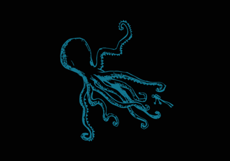 Mollusca IV