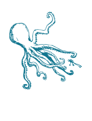 Mollusca IV