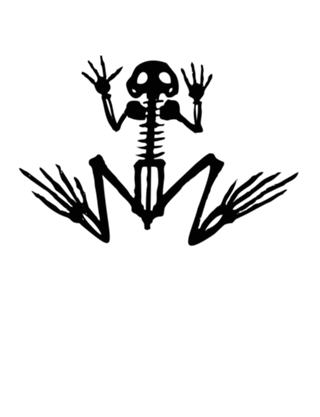 Anuro II