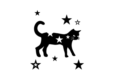 Gato estrelado