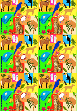 Brasileiragem - colorido