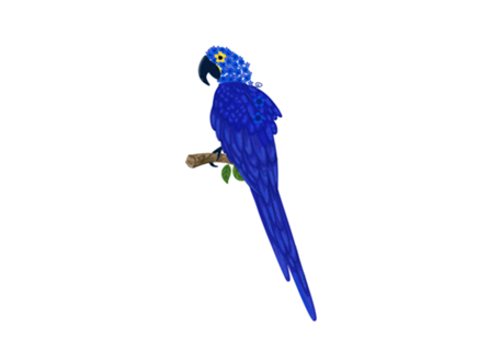 Arara azul Floral