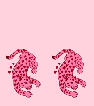 Onça love