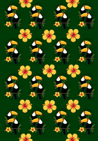 Tucanos