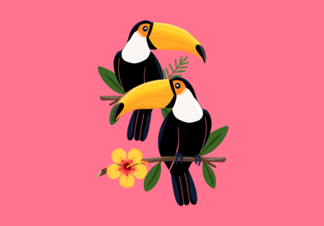 Tucanos