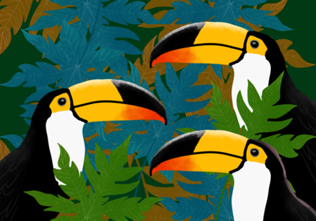 Tucanos - Brasil Tropical