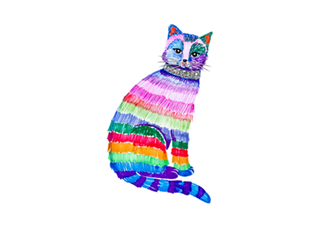 Gato colorido