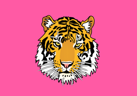 Tigre