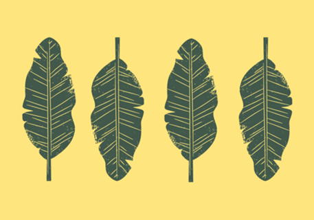 Folhas - Natureza