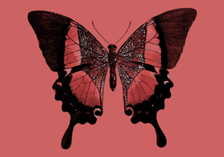 Butterfly Hypno