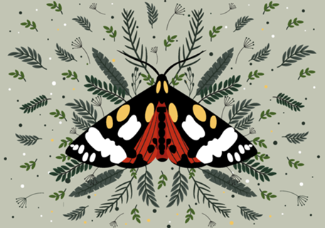 Mariposa-Tigre-Escarlate Floral