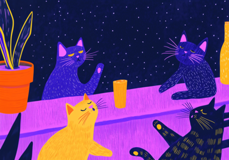 Noite dos gatos