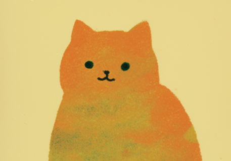 Gatinho laranja