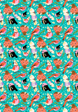 Aves de Roupinhas