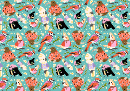 Aves de Roupinhas