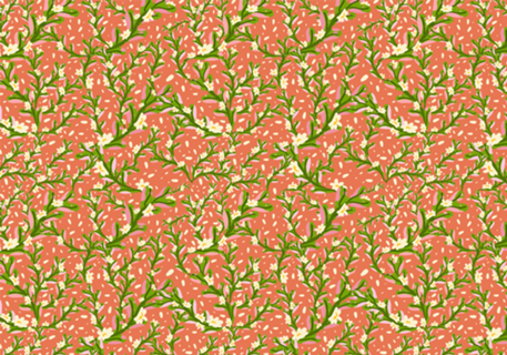 Floral da sorte