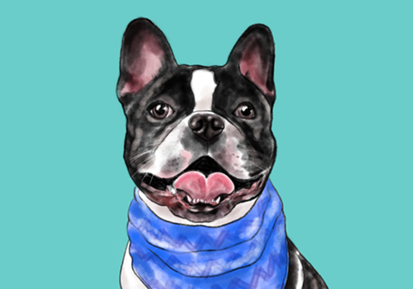 Bulldog