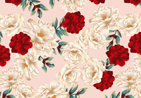 Red and pink Rose