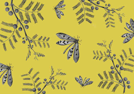 Collage Mariposa