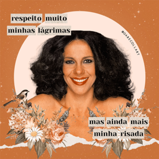 Colagem Gal Costa - vaca profana