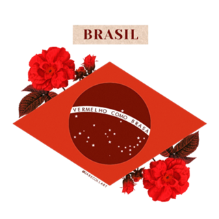 Colagem Brasil Vermelho Como Brasa