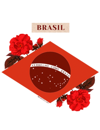 Colagem Brasil Vermelho Como Brasa