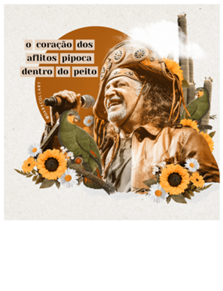 Colagem Alceu Valença