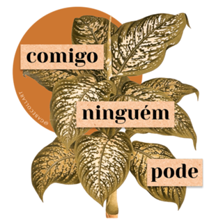 Colagem comigo ninguém pode
