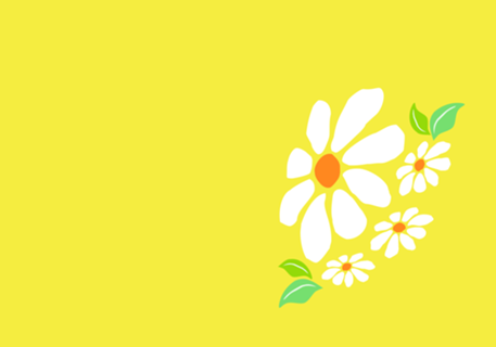 Flores Minimalista