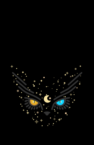 Luna Black Cat