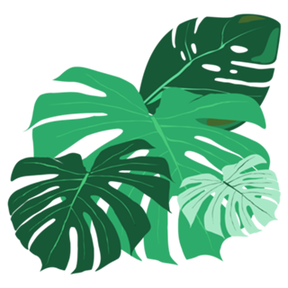 Botanico Minimalista
