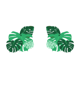 Botanico Minimalista