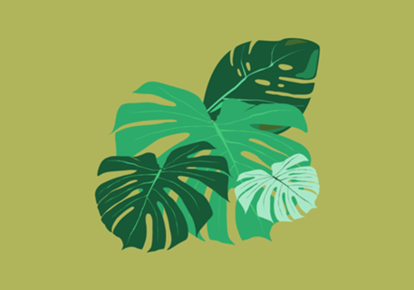 Botanico Minimalista