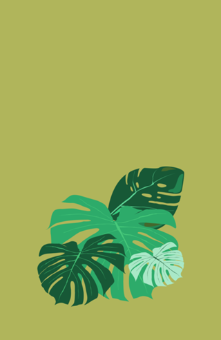 Botanico Minimalista
