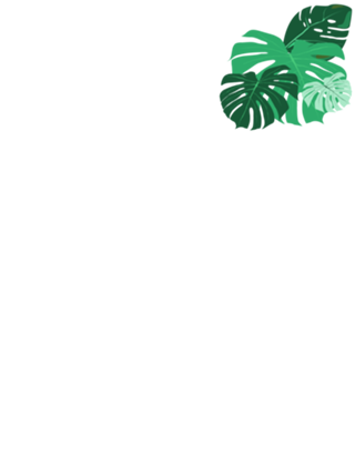 Botanico Minimalista