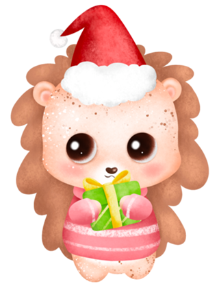 Feliz Natal Família !! Merry Christmas!!!