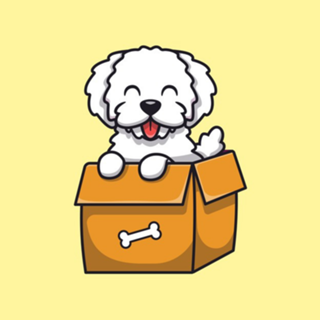 Dog poodle