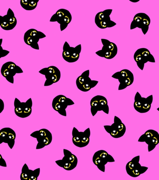 Gatinhos Pretos