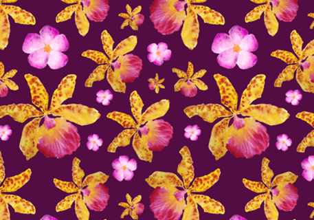 Lírio Tropical