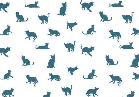 Gatos