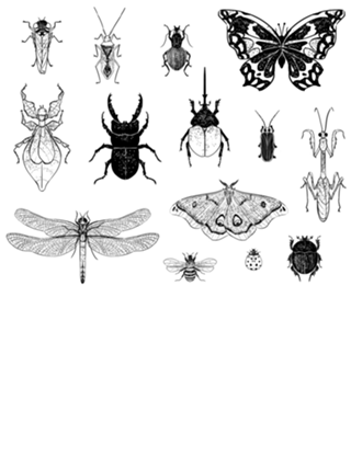 Insectarium