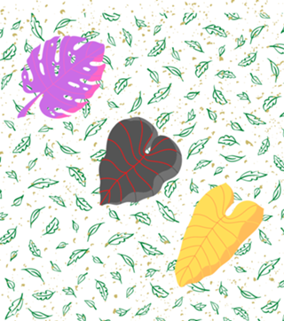 Plantas