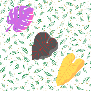 Plantas