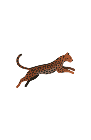 Convidado Jaguatirica
