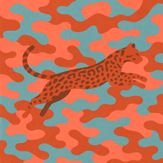 Convidado Jaguatirica