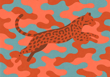 Convidado Jaguatirica