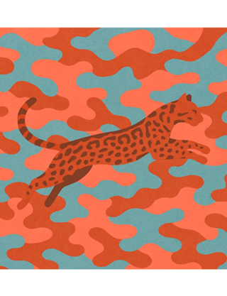 Convidado Jaguatirica