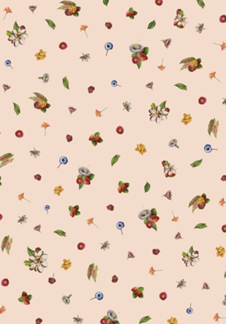 Botanical Pink Ice Cream